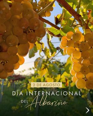 Image post by @riedelpartner_vnzla on Instagram