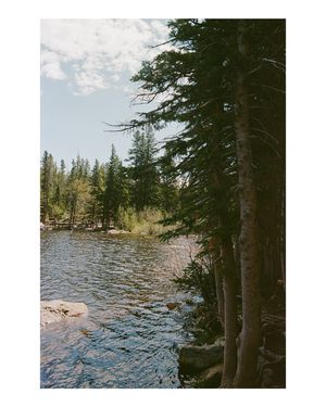 Image post by @elianagracemedia on Instagram