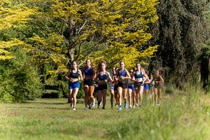 Image post by @hofstratrackxc on Instagram