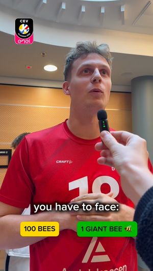 Image post by @cevolleyball on Instagram