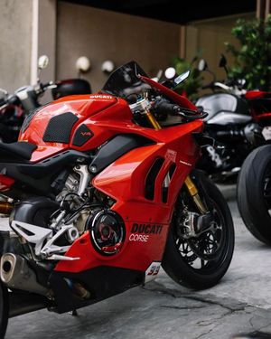 Image post by @panigalers on Instagram