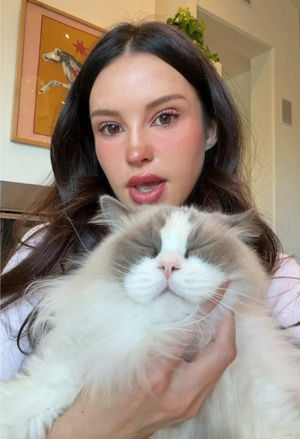 Video post by @lyssielooloo on TikTok