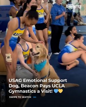 Image post by @insidegym on Instagram