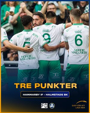 Image post by @fotbolldirekt on Instagram