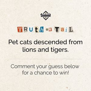 Image post by @diamondpetfoods on Instagram