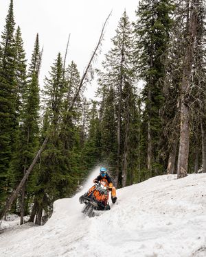 Image post by @polarissnow on Instagram