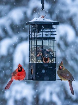 Image post by @jpotterphoto on Instagram