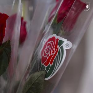 Image post by @indianafootball on Instagram