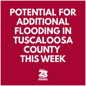 Image post by @wvua23 on Instagram
