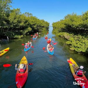 Image post by @visitsarasotacounty on Instagram