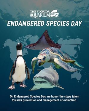 Image post by @floridaaquarium on Instagram