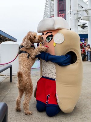 Image post by @CleHotDogs on Twitter