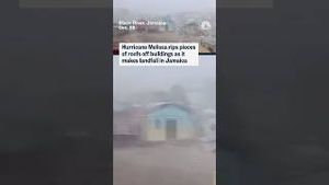 Video post by @nbcnews on YouTube
