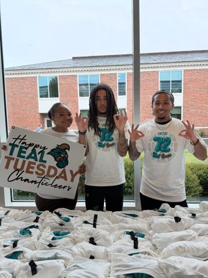 Image post by @ccuchanticleers on Instagram