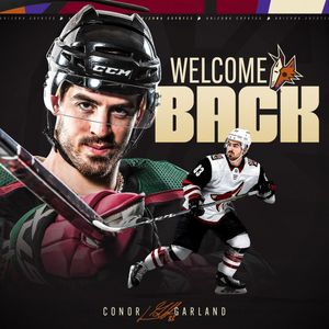Image post by @arizonacoyotes on Instagram