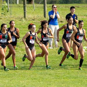 Image post by @canestrack on Instagram