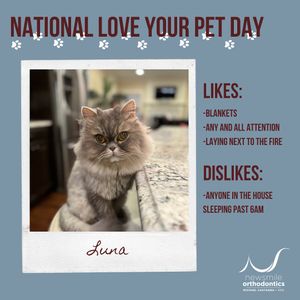 Image post by @new_smile_ortho on Instagram