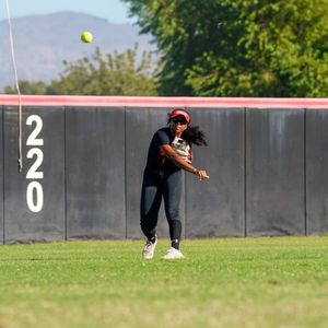 Image post by @csunsoftball on Instagram