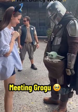 Video post by @disneyparks on TikTok
