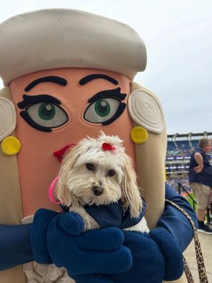 Image post by @clehotdogs on Instagram