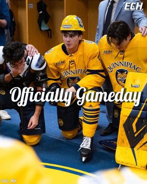 Image post by @everythingcollegehockey on Instagram