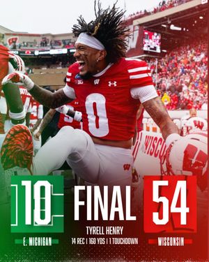 Image post by @rollbadgers on Instagram