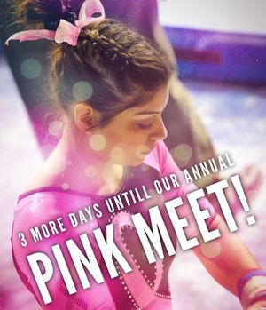 Image post by @wolfpackgymnastics on Instagram