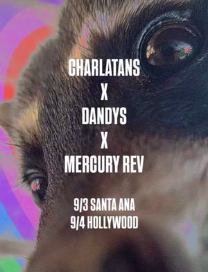Image post by @thedandywarhols on Instagram