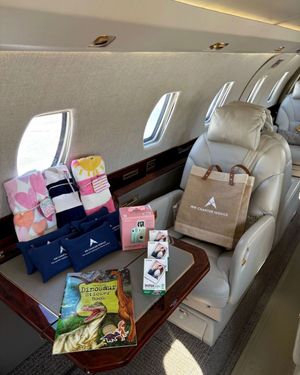 Image post by @acs_aircharter on Instagram