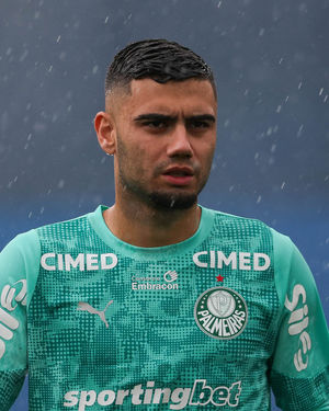 Image post by @palmeiras on Instagram