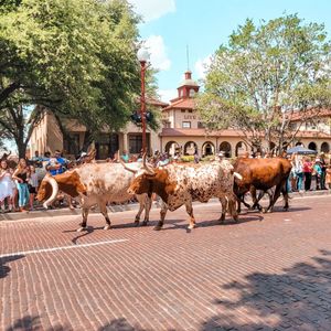Image post by @visitfortworth on Instagram