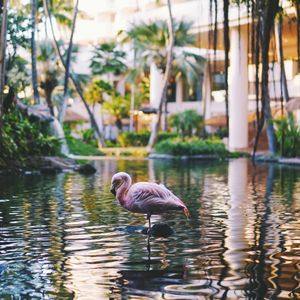 Image post by @kirstenalana on Instagram