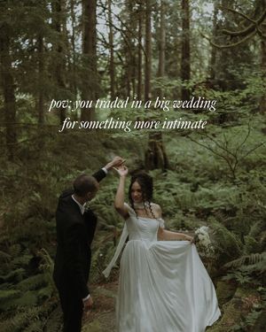 Image post by @treehousepoint on Instagram