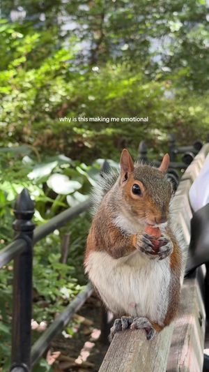 Video post by @heyitsorin on TikTok