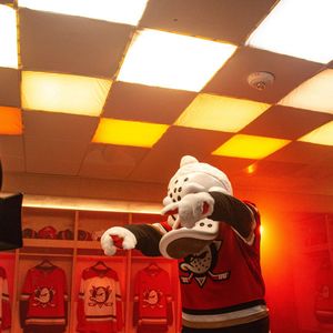 Image post by @wildwingana on Instagram