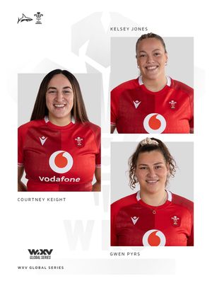 Image post by @salesharkswomen on Instagram