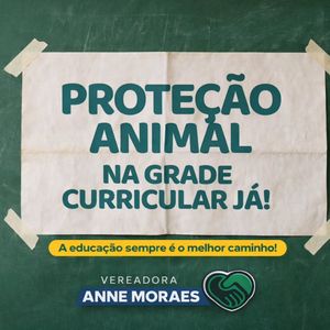 Image post by @annemoraesvereadora on Instagram