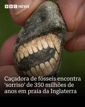 Image post by @bbcbrasil on Instagram