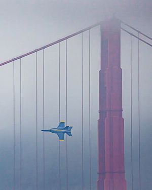 Video post by @onlyinsf on TikTok