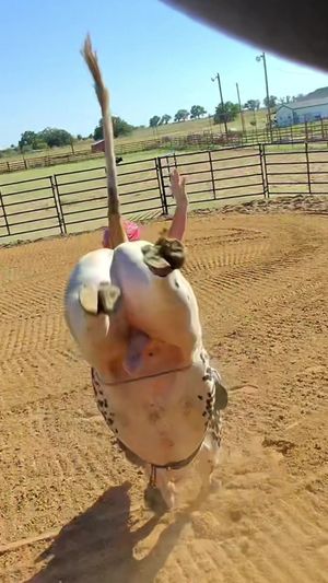 Video post by @johncrimber1 on TikTok
