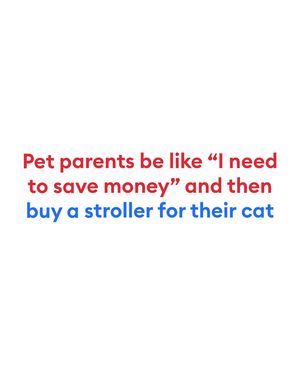 Image post by @petsmart on Instagram