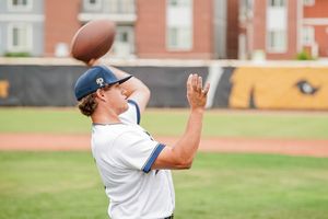 Image post by @OwlzNoCo on Twitter