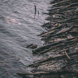 Image post by @cristan.nature.photography on Instagram