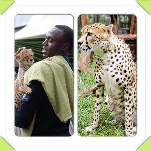 Image post by @usainbolt on Instagram