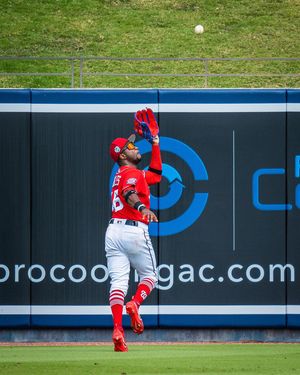 Image post by @bogarcreative on Instagram