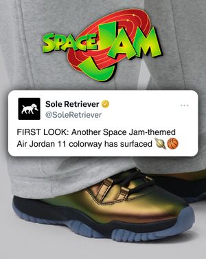 Image post by @soleretriever on Instagram