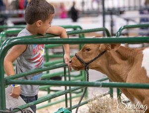 Image post by @michiganstatefair on Instagram