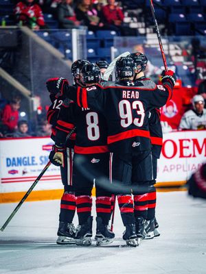 Image post by @ohlicedogs on Instagram