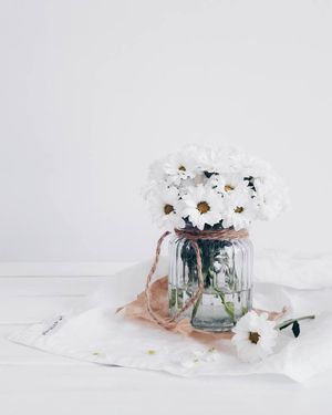 Image post by @kate.simple.life on Instagram