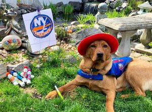 Image post by @nyislanders on Instagram